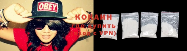 прущие грибы Медногорск