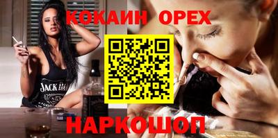 сатива Кингисепп