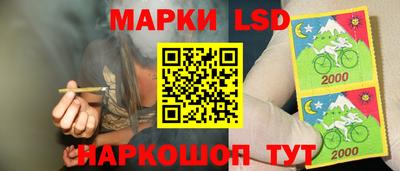 spice Кинель