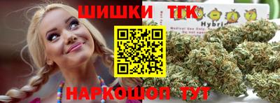 сатива Кингисепп