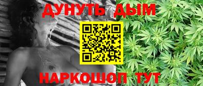 сатива Кингисепп