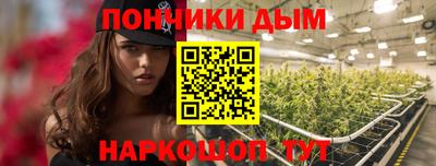 spice Кинель