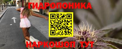 сатива Кингисепп