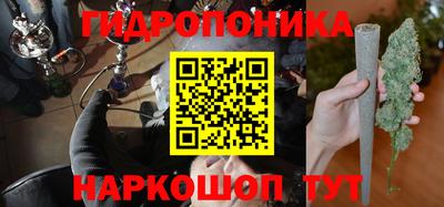 spice Кинель