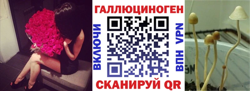 Галлюциногенные грибы мицелий  ссылка на мегу онион  Сосновый Бор  цена  