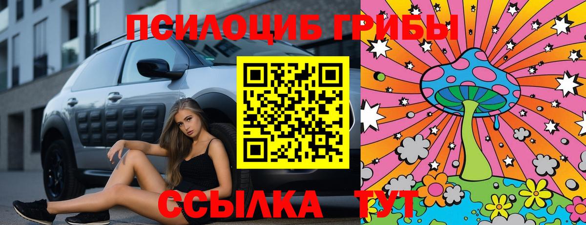 Сосновый Бор  Галлюциногенные грибы Cubensis  Псилоцибиновые грибы мицелий  Вход с VPN 