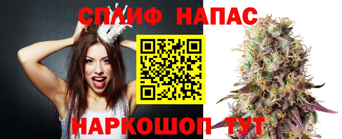 Конопля сатива Сосновый Бор